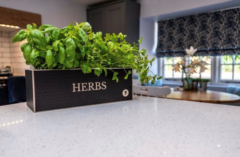 herb garden planter in a kitchen with herbs