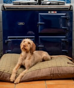 rufus on a Chester & Cooke dog cushion