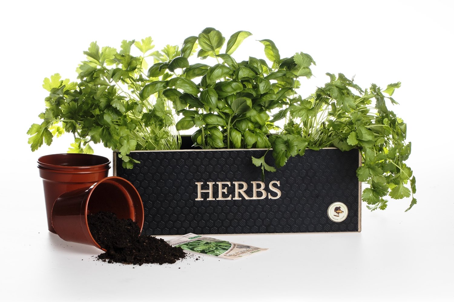 Brown herb planter engraved with Herbs