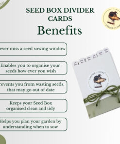 benefits of the divider cards