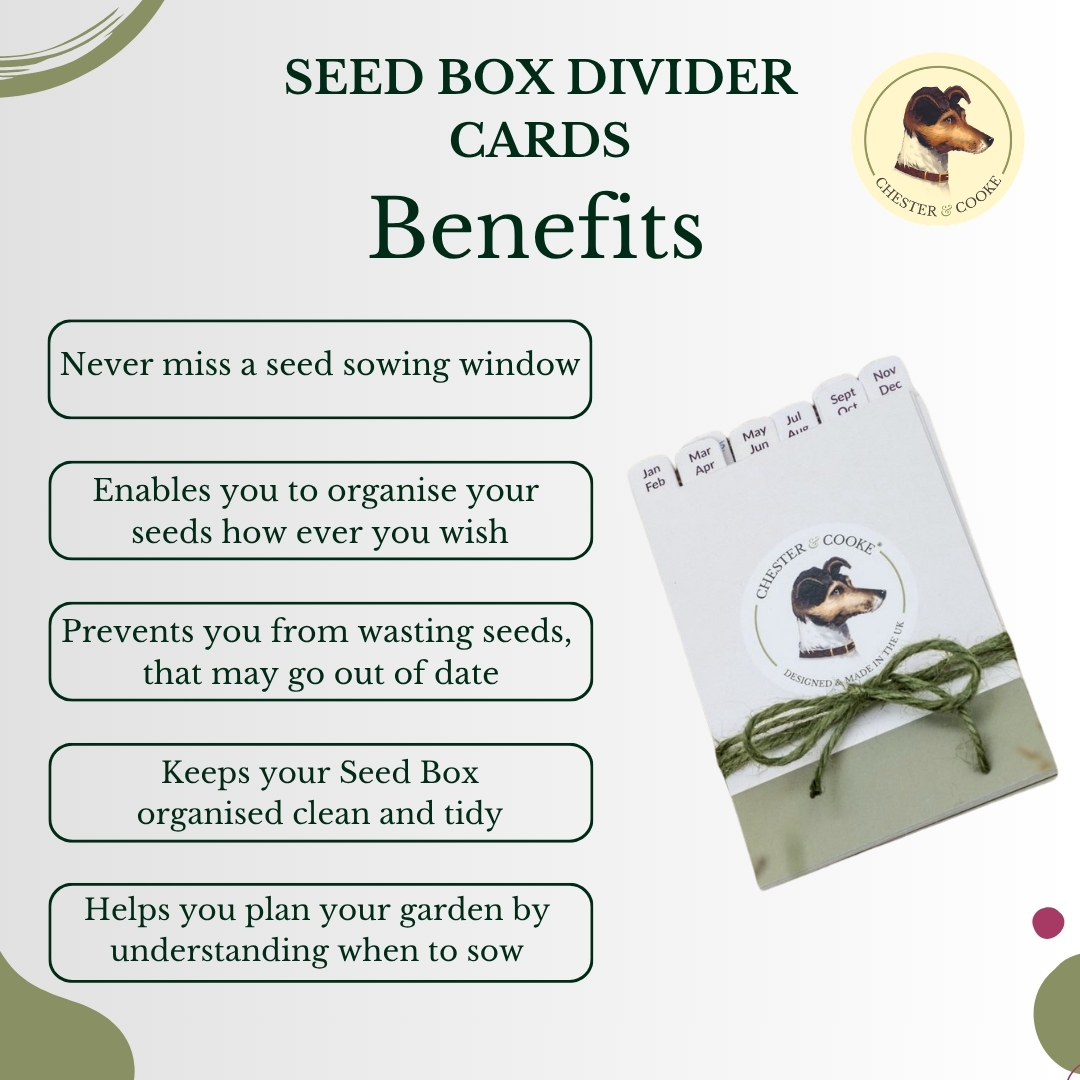 benefits of the divider cards