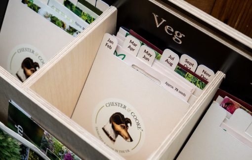 Seed divider cards in the seed storage box dividing seed packets