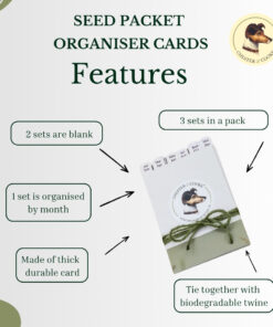 features of the divider cards