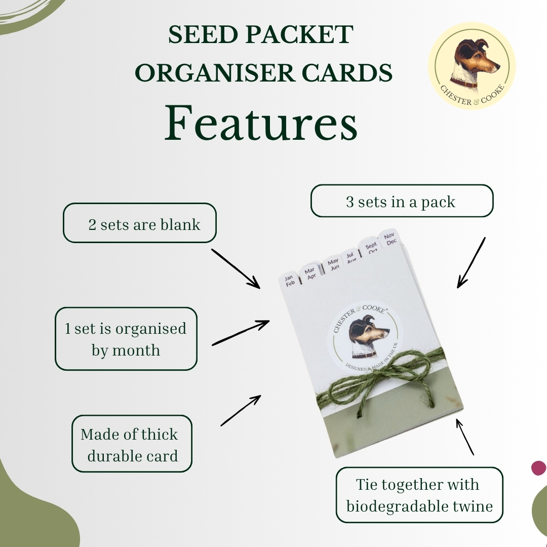 features of the divider cards