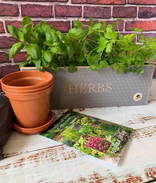 Grey Herb Planter with pots and saucers