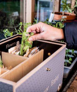 seed box in the potting shed