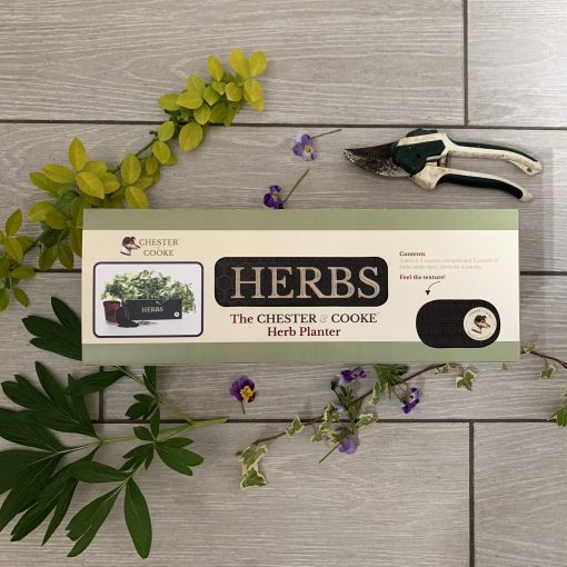 Grow your own herbs