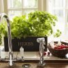 Herb planter kit