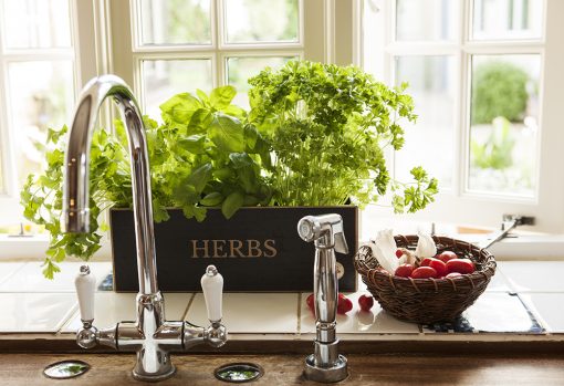 Herb planter kit