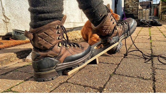 Someone removeing their boots with a Boot Jack, Boot remover.