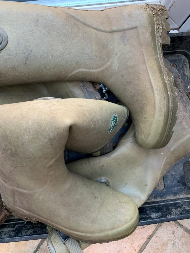 Wellies that need to be stored on a Wellington rack