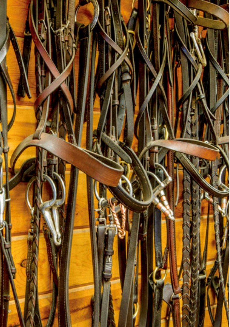 bridle hangers