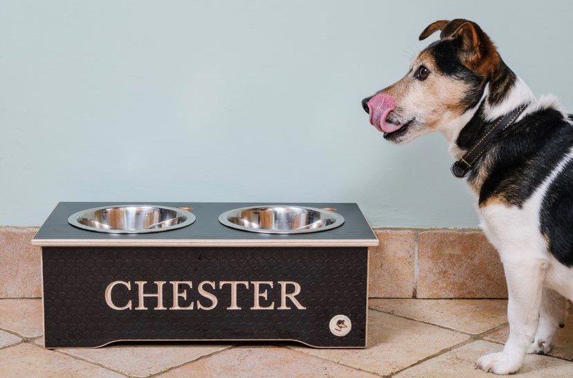 Personalized dog hot sale feeding station