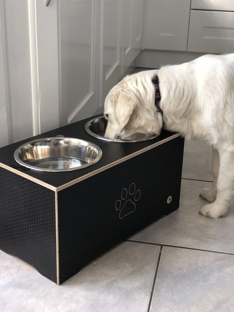 Why use a dog bowl stand - it gives a better position the dogs of head for swallowing