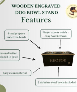 the features of the dog bowl stand