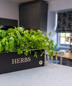 Herb Planter in a Kitchen