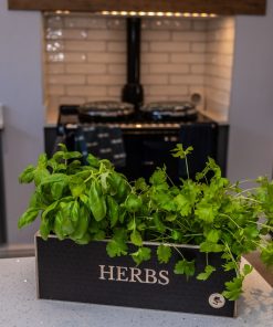 Herb planter in the kitchen