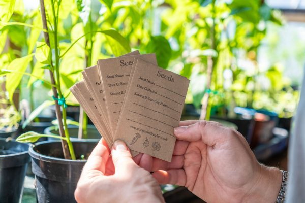 seed harvesting