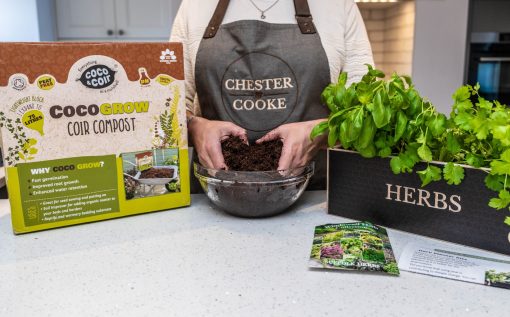 gardening gift Ideas for Christmas- Herb Planter kit includes peat free compost, seeds, pots and saucers