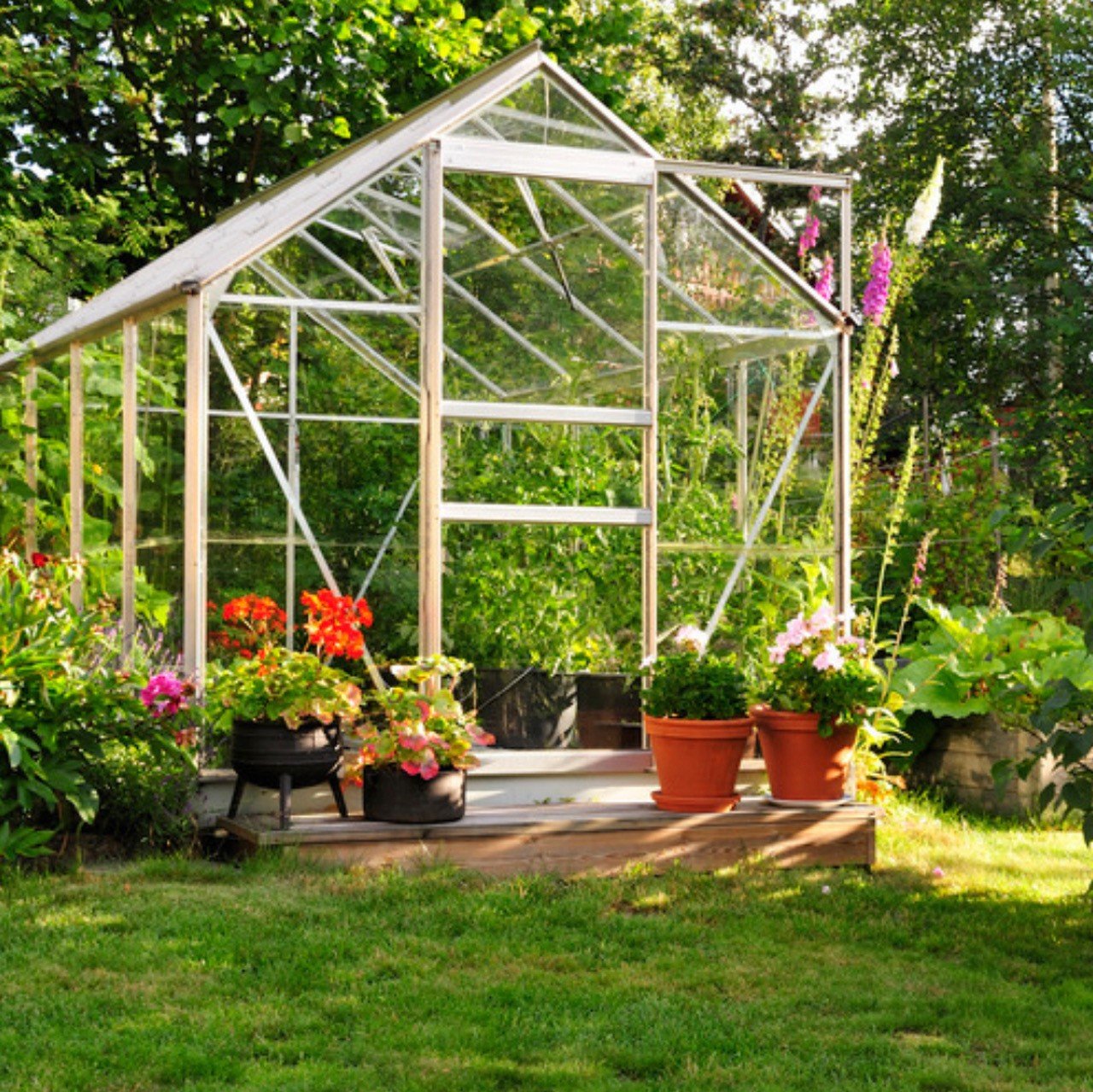 Gardening jobs for August - greenhouse ventilation and shade great for growing herbs and sowing seeds