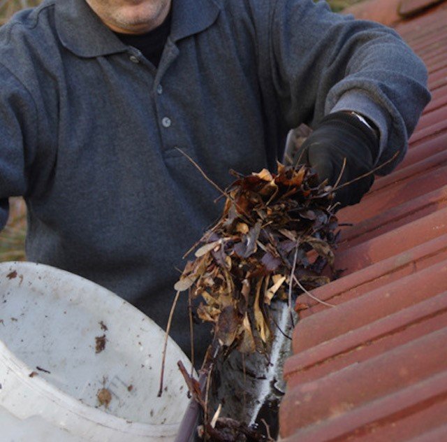 Gardening jobs in October - clean your gutters of leaves