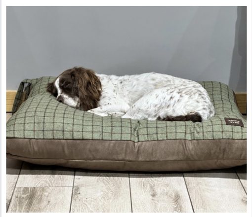 Tweed dog cushion