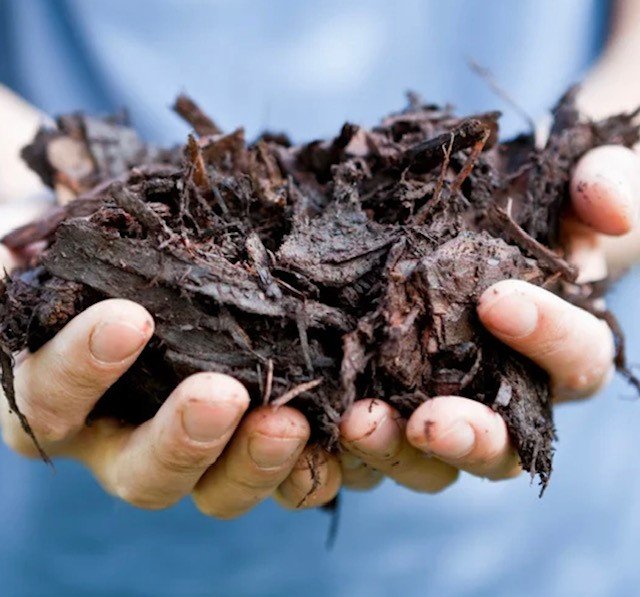 Gardening jobs for November - Mulch