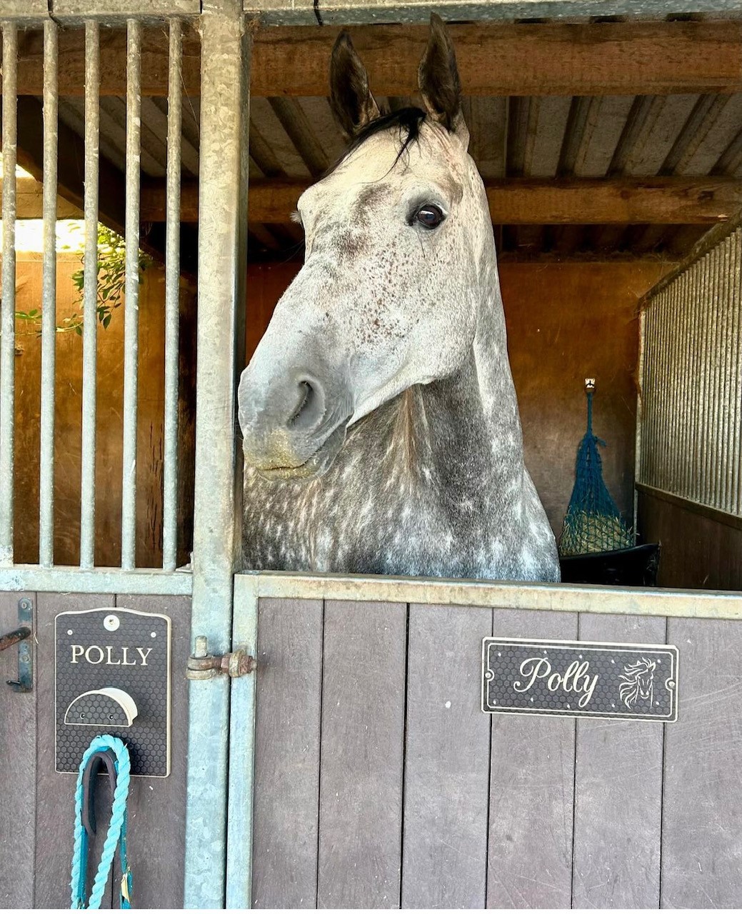 Stable name plaques come in brown and grey and you can design your own