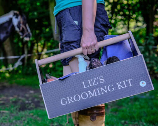 grooming kit with horse in the background