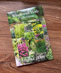 Herb Seeds - windowsill collection - use in an indoor herb planter.