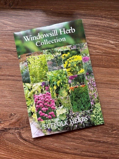 Herb Seeds - windowsill collection - use in an indoor herb planter.