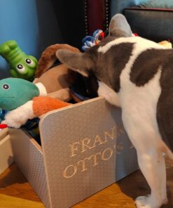 inside dog toy box