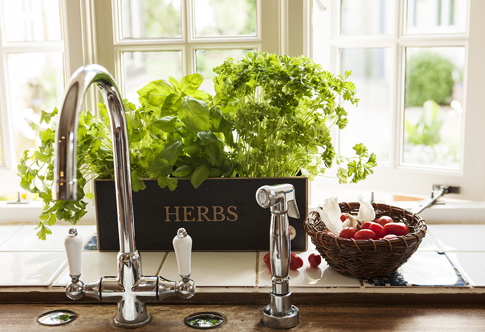 Herb planter kit - 