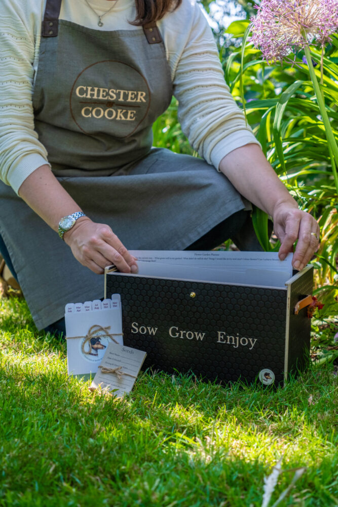 wooden seed storaage box gift set