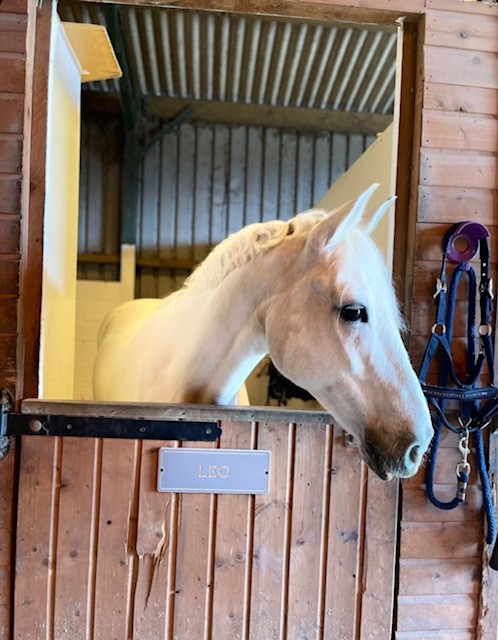 grey personalised name plate on a stable door