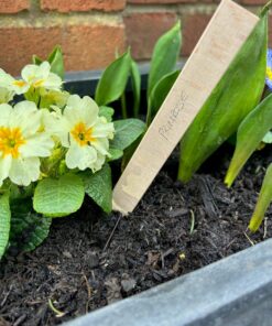 plant labels marking a plant