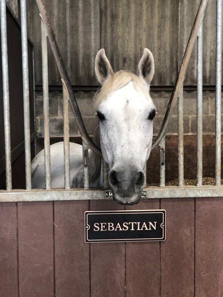 wooden name sign on the stable door