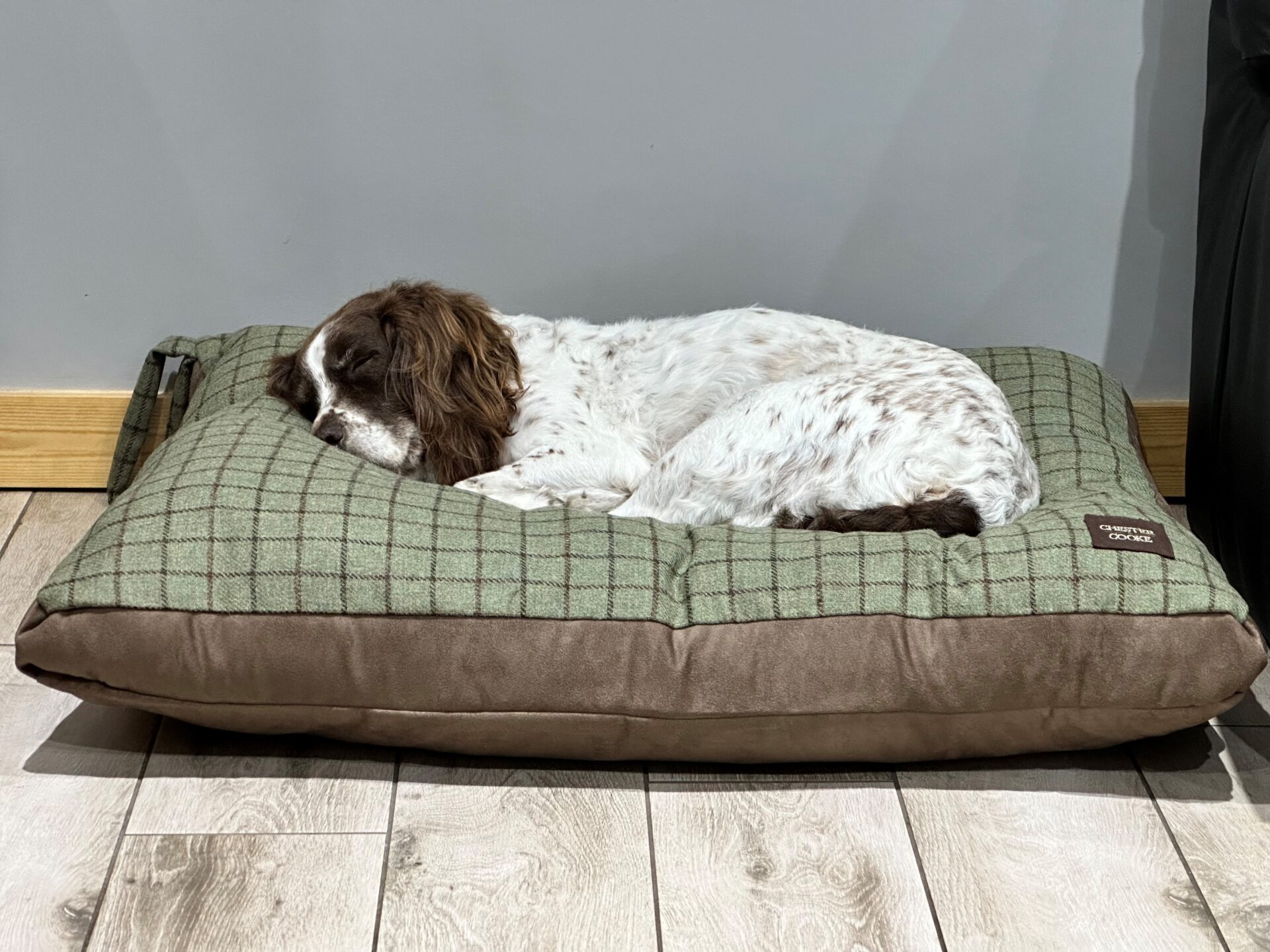 tweed dog cushion