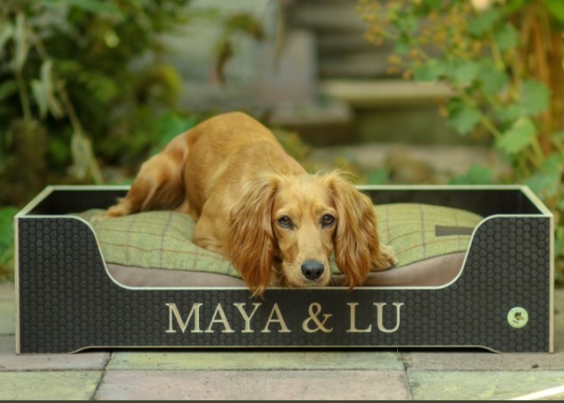 bespoke wooden dog bed with tweed dog cushion