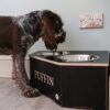 medium corner dog bowl stand