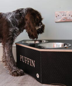 medium corner dog bowl stand