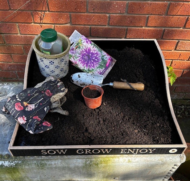 wooden repotting tray in use