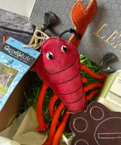 Green & wilds lobster eco dog toy in the dog owners gift box