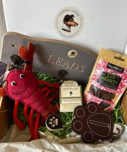 Dog owner gift box