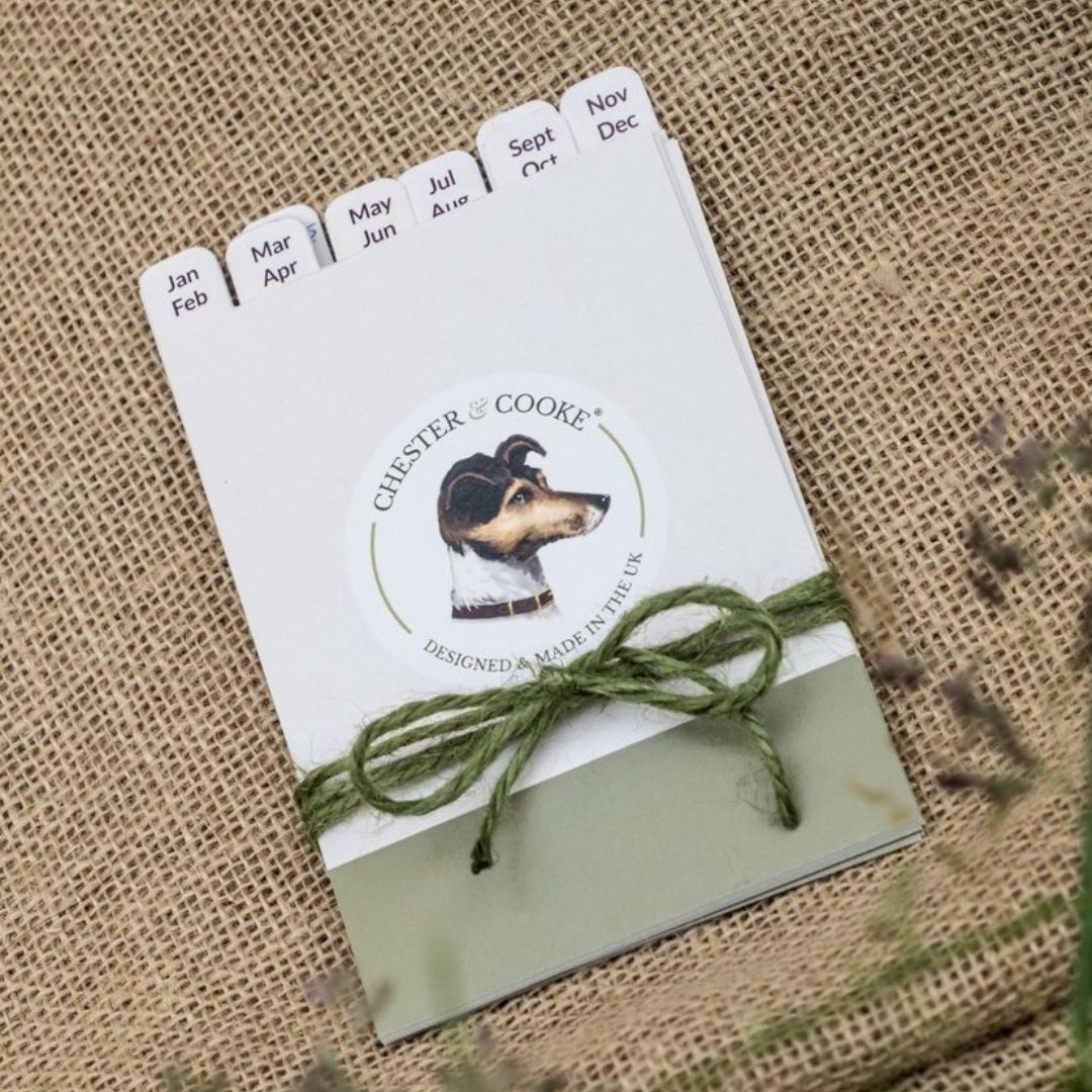 get your seed box organised with these divider cards