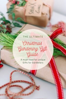 Christmas gardening gift guide