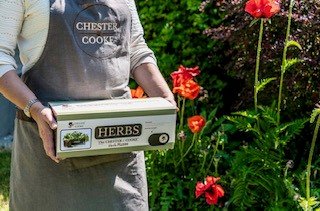 herb planter kit